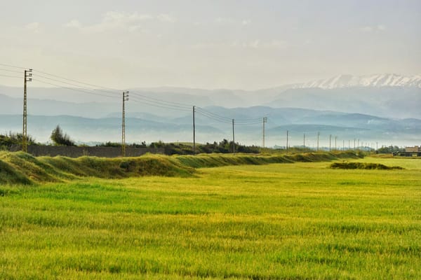 green field against a backdrop of silhouettes of mountains and snow-capped peaks in the distance