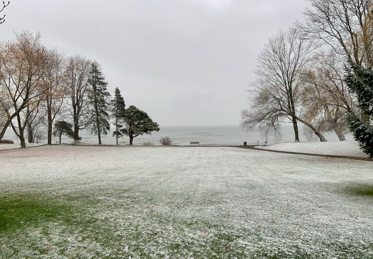 November Novelties: Monthly Missives from The Dream Pedlar