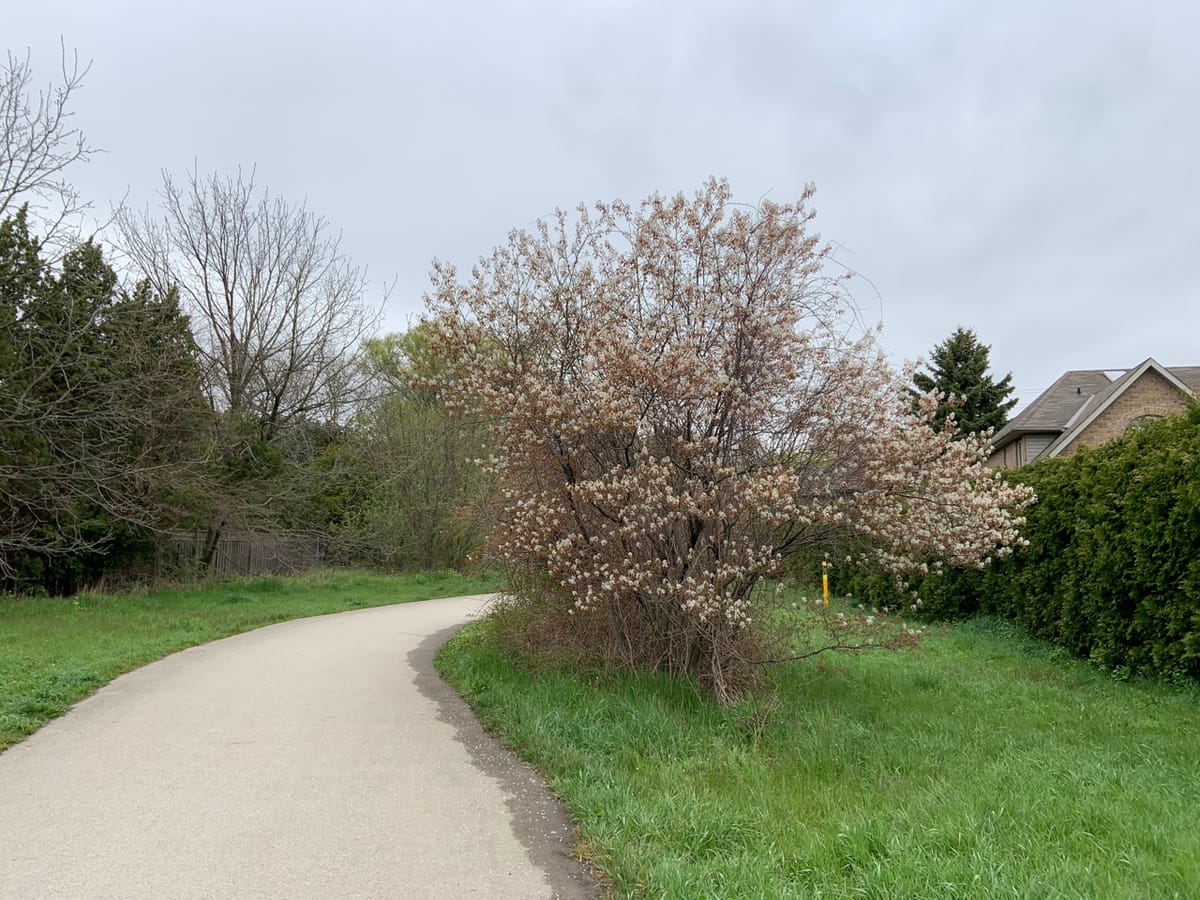 tales for dreamers: do you know your own name?