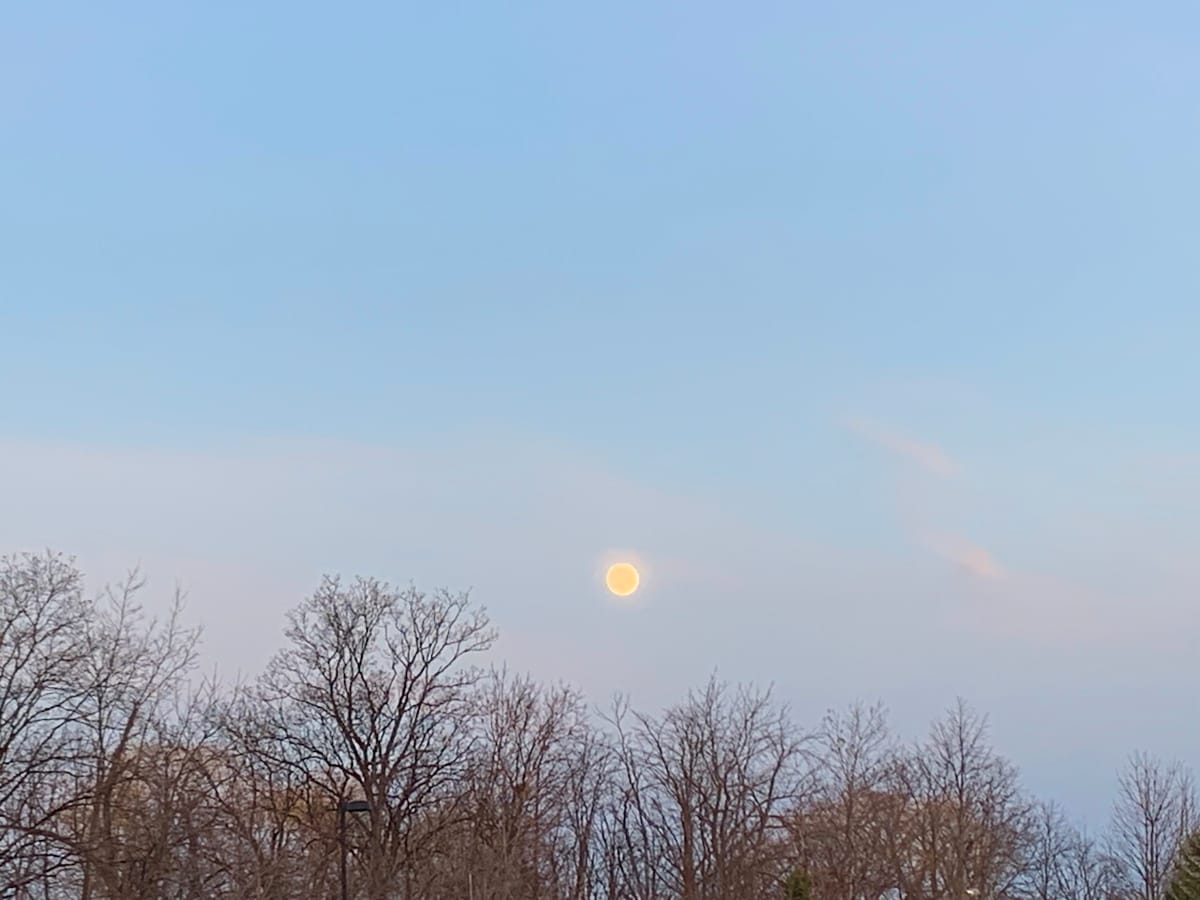 tales for dreamers: a sticker for a moon