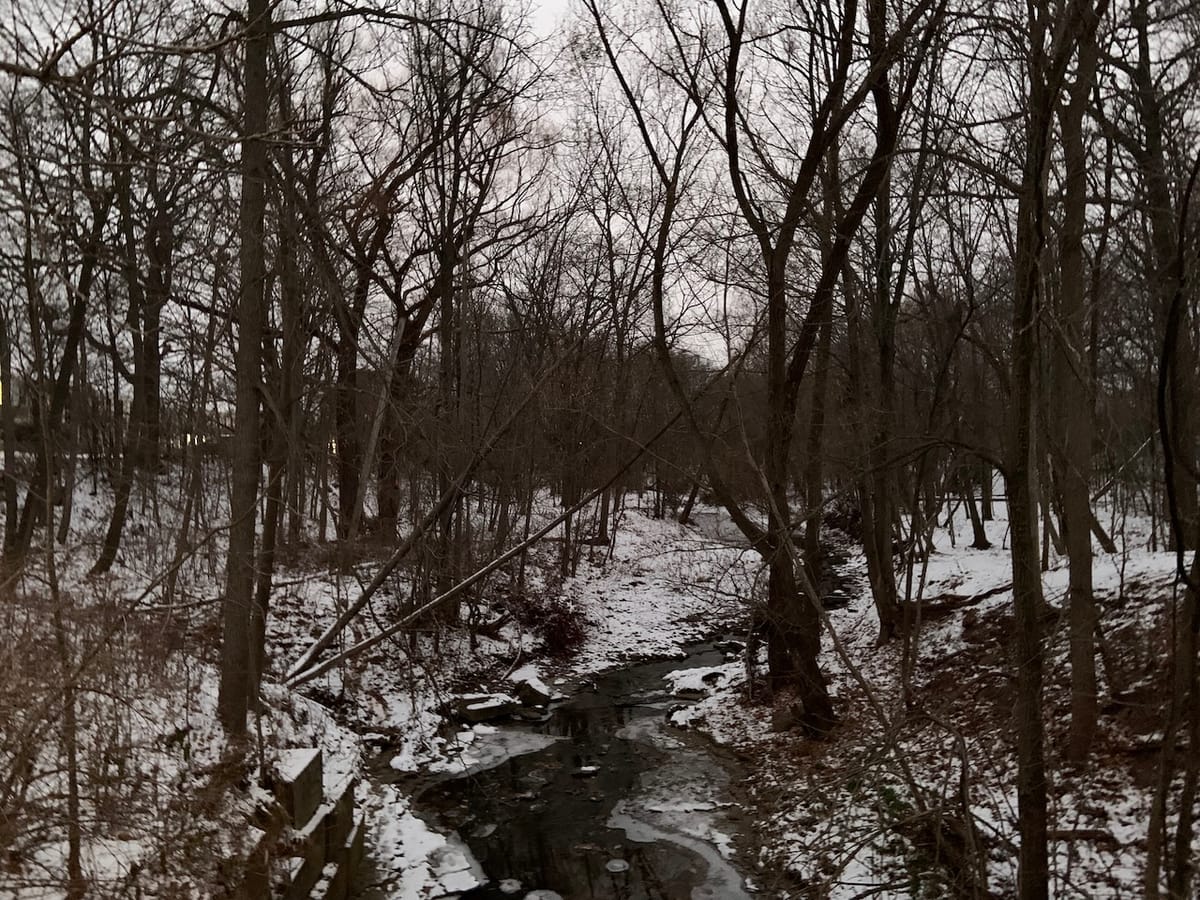 tales for dreamers: a black and white world