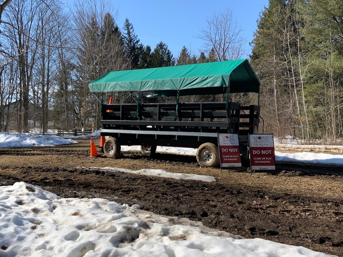 tales for dreamers: invisible horses for the wagon