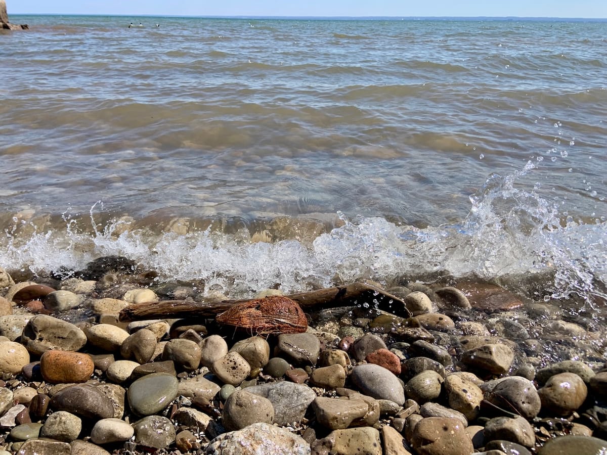 tales for dreamers: an unexpected offering