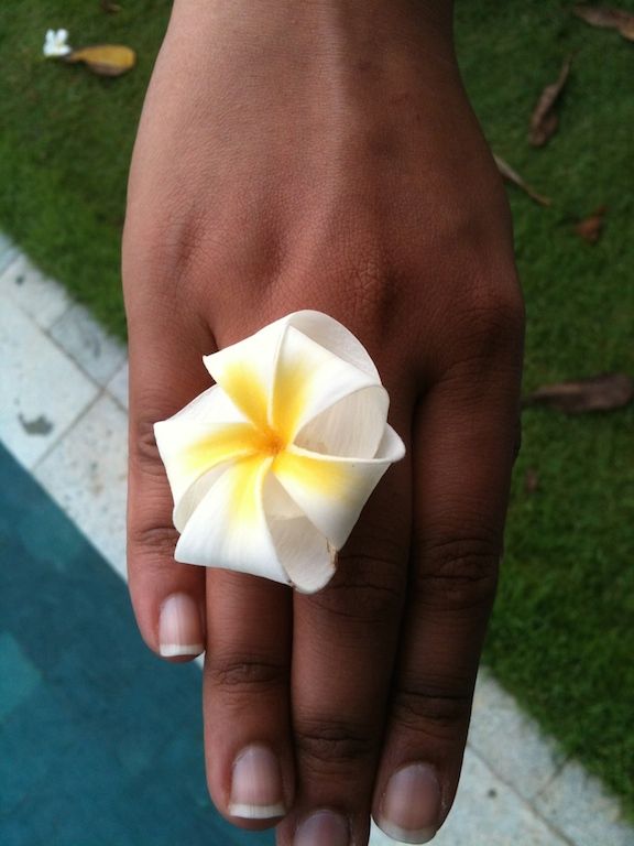 a frangipani flower tucked between fingers