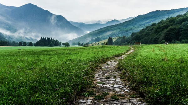 a stone path flanked by grassy fields leading to a range of mountains in the distance