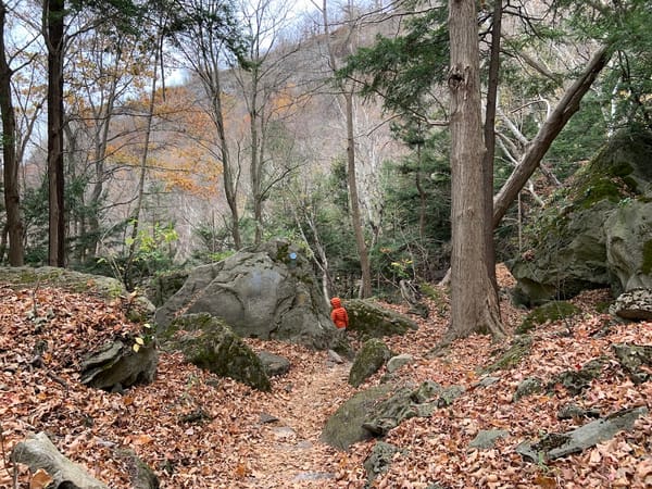 image of a child turning around a rocky corner on a trail in the woods
