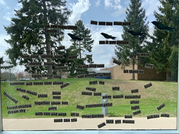cut-outs of words pasted in apparently random order on a window overlooking a green lawn and tall pine trees under a blue sky