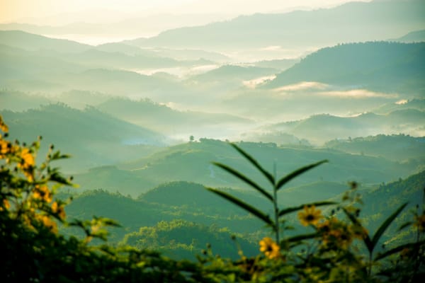 bird's-eye-view of a range of forest mountains