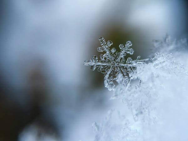an icy snowflake crystallized against a blurry background