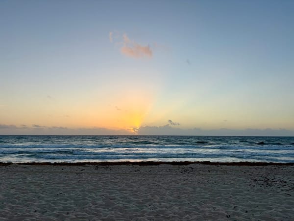 sunrise over an ocean as seen from the shore