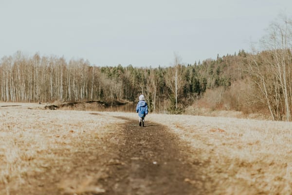 a little child walking away on a muddy track in a barren field surrounded by trees 