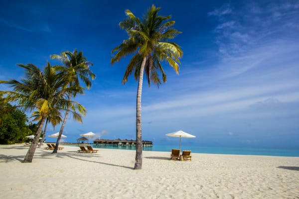 sandy beach with palm trees and sunbeds under a blue sky