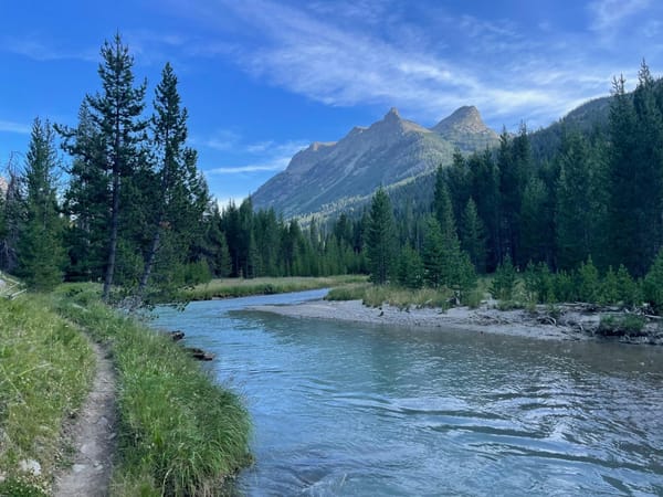 a meandering river passing through banks with coniferous trees towards a mountain range in the distance