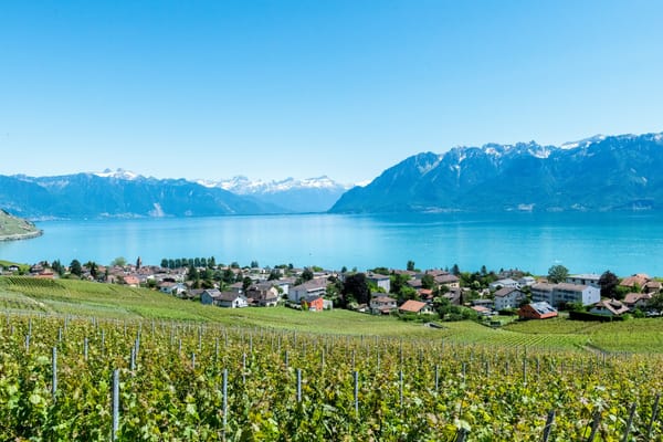 a cluster of homes beside a serene lake surrounded by vineyards and icy mountains on the opposite shore