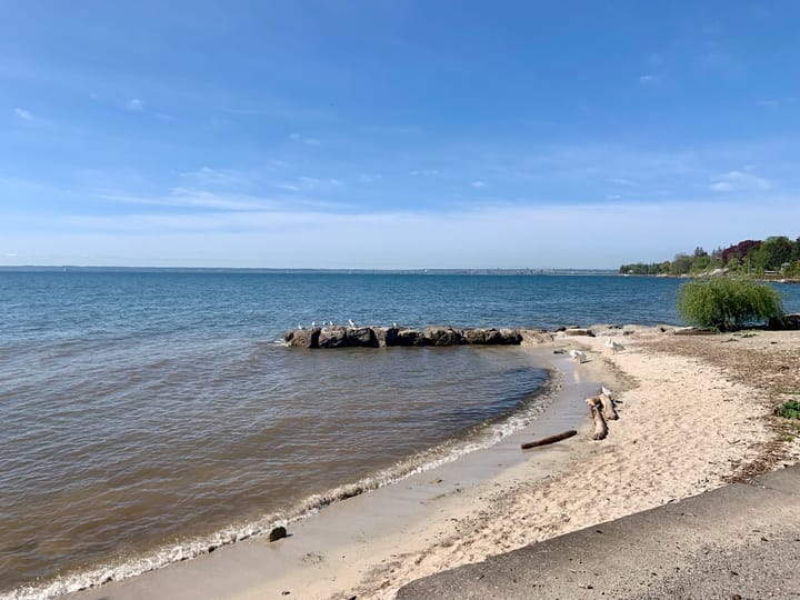 The blue waters of Lake Ontario stretching towards the horizon beside a sandy shore and a strip of trees in the distance