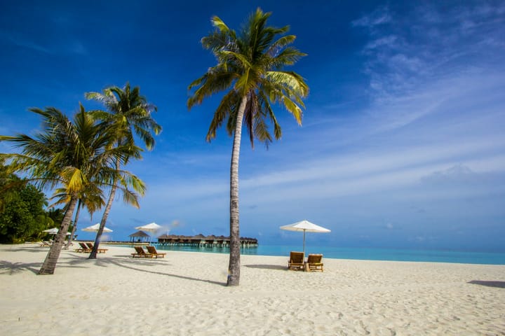 sandy beach with palm trees and sunbeds under a blue sky